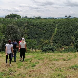 AVENTURA EN EL QUINDÍO / BICI TURISMO-TURISMO EQUINO-PARAPENTE 3 DIAS / 2 NOCHES