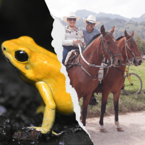 PLAN BIO DIVERSO | EXPERIENCIA NATURAL