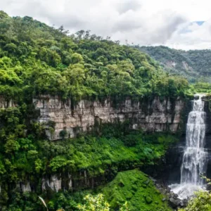 TOUR DEL CAFÉ / Región del Tequendama