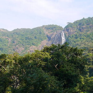 EL JARDIN CON AROMA DE CAFÉ / Región del Tequendama