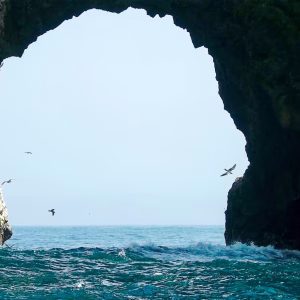 AIRE, MAR Y TIERRA - 8 DÍAS 7 NOCHES Lima-Paracas-Nasca-Cuzco