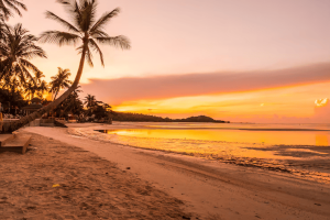 hermosa-playa-tropical-mar-oceano-palmera-coco-momento-salida-sol_74190-7454